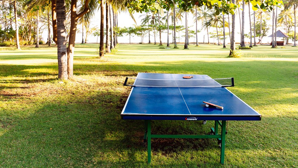 The Anandita - Table tennis anyone